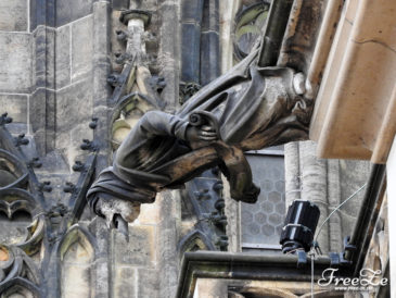 Chrliči na katedrále svatého Víta, Václava a Vojtěcha, Pražský hrad