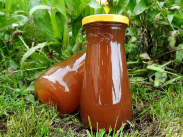 Domácí dýňový sirup — dobrota nejen do kafe | Freeze