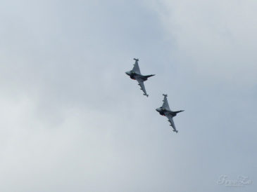 Den ve vzduchu v Plasích: Saab JAS-39 Gripen