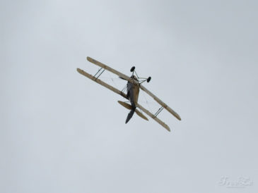 Den ve vzduchu v Plasích: D.H. 82C Tiger Moth