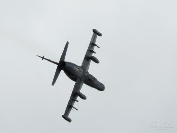 Den ve vzduchu v Plasích: Aero L-159 Alca