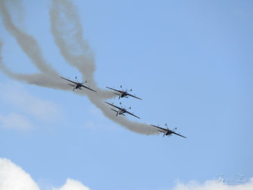 The Flying Bulls Aerobatics Team