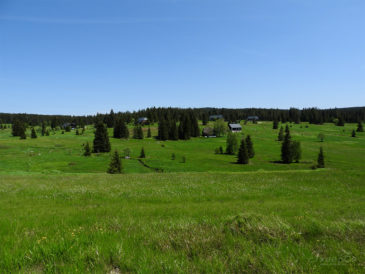 Šumava