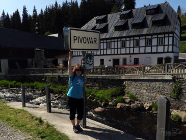 FreeZe u cedule PIVOVAR