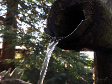 Studánka U Honesů