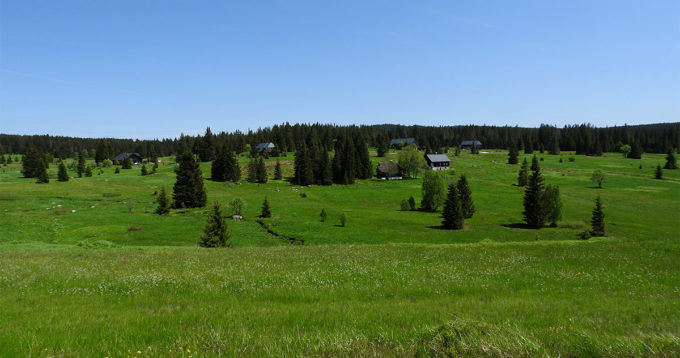 Šumava pěšky: okruh Horská Kvilda - Kvilda - Modrava - Horská Kvilda