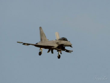 Typhoon Display Team (Royal Air Force)