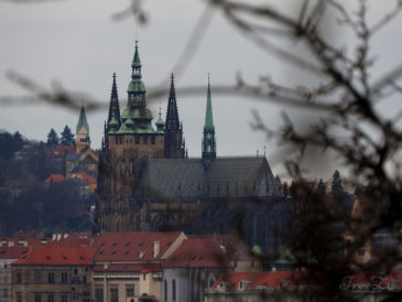 Pohled na Pražský hrad z Vítkova